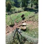 Wildpark_2c_14.jpg